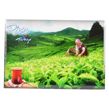 Toptan Rize Temalı Myros Dikdörtgen Magnet 80x55 mm - 11