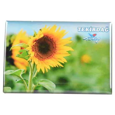 Tekirdag Themed Epoxy Dome Rectangle Souvenir Fridge Magnet 80x55 cm - 8