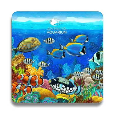 Toptan Aquapark Temalı Ahşap Resimli Bardak Altlığı 100 mm - 5