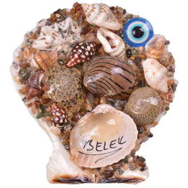 Toptan Belek Temalı Deniz Kabuğu Magnet - 4