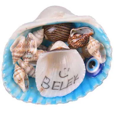 Toptan Belek Temalı Deniz Kabuğu Magnet - 5