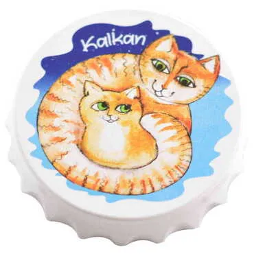 Toptan Kalkan Temalı Uv Baskılı Kapak Açacak Magnet 63x15 mm - 13