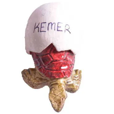 Kemer Themed Polyester Hatching Egg Fridge Magnet - 3