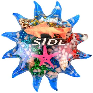 Toptan Side Temalı Şeffaf Polyester Magnet - 29