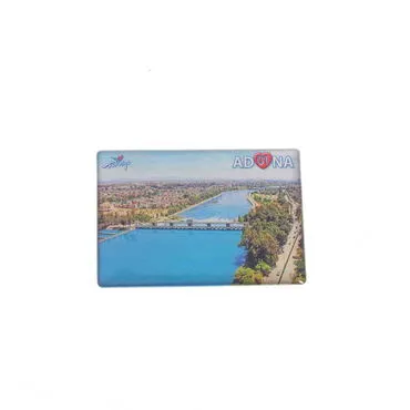 Adana Themed Epoxy Dome Rectangle Souvenir Fridge Magnet 80x55 mm - 8