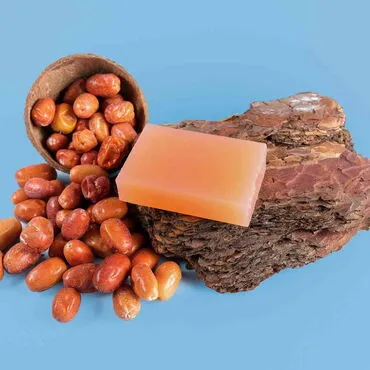 Toptan Şeffaf İğde Sabunu 100 Gr. - Standart - 2