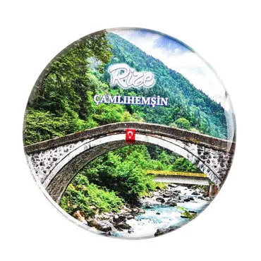 Rize Themed Epoxy Dome Round Souvenir Fridge Magnet 67 mm - 10