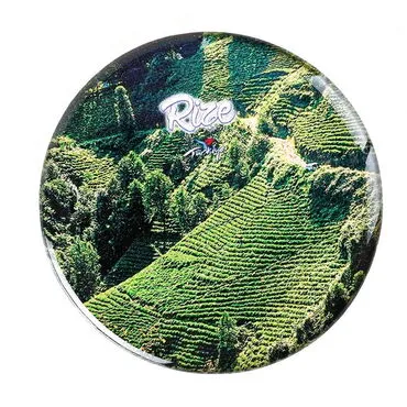 Rize Themed Epoxy Dome Round Souvenir Fridge Magnet 67 mm - 15