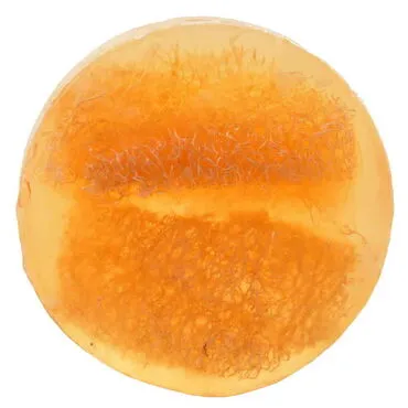 Toptan 200 Gr.sütbal Esansli Kabak Li̇fli̇ Vücut Bakim Sabunu  - Standart - 5