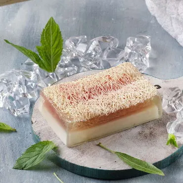 Toptan 100 Gr.d.dörtgen Menthol Esansli Kabak Li̇fli̇ Vücut Bakim Sabunu 