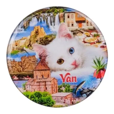 Van Themed Epoxy Dome Round Souvenir Fridge Magnet 67 mm - 5