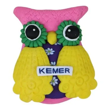 Wholesale Parrot Fimo Refrigerator Magnet with Kemer Themed