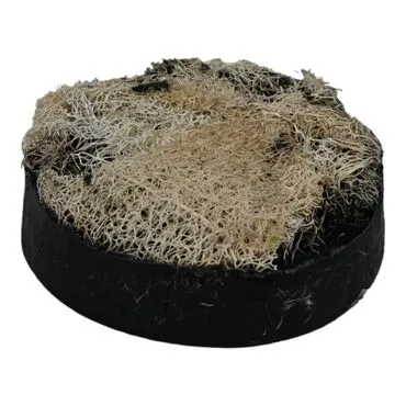 Toptan 200 Gr.akti̇f Karbon Esansli Kabak Li̇fli̇ Vücut Bakim Sabunu