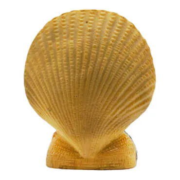 Kemer Oyster - Standart - 2