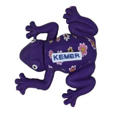 Wholesale Parrot Fimo Refrigerator Magnet with Kemer Themed - 5