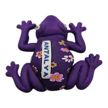 Antalya Themed Frog Fimo Refrigerator Magnet - 3