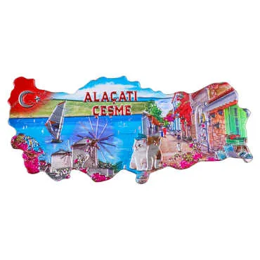 Metallic Map Refrigerator Magnet - 3