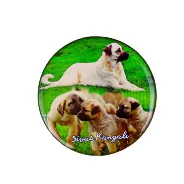 Sivas Themed Myros Round Refrigerator Magnet 67 mm - 5