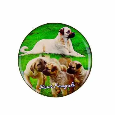 Sivas Themed Myros Round Refrigerator Magnet 67 mm - 8