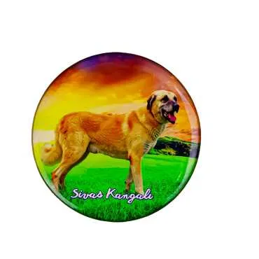 Sivas Themed Myros Round Refrigerator Magnet 67 mm - 9