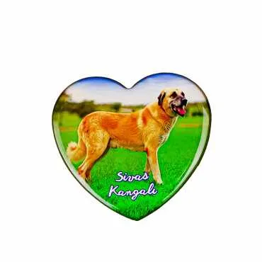 Sivas Themed Myros Heart Refrigerator Magnet 65x60 mm - 4
