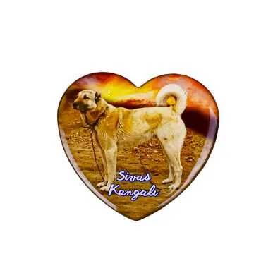 Sivas Themed Myros Heart Refrigerator Magnet 65x60 mm - 8