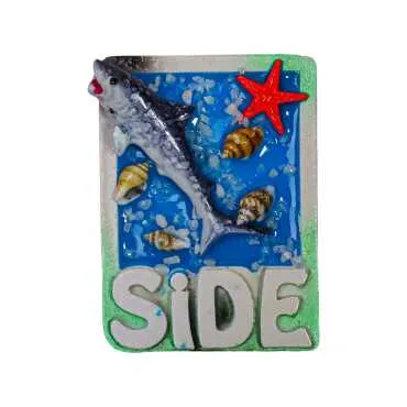 Side Themed Transparent Polyester Refrigerator Plate Magnet - 9
