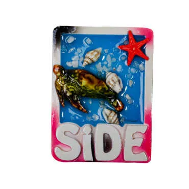 Side Themed Transparent Polyester Refrigerator Plate Magnet - 10