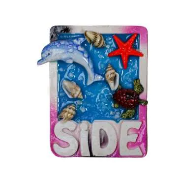 Side Themed Transparent Polyester Refrigerator Plate Magnet - 13