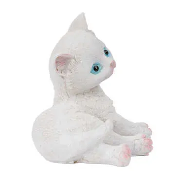 Wholesale Medium Polyester Cat - Standart - 2