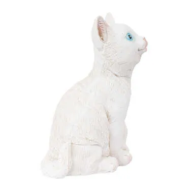 Wholesale Medium Polyester Cat - Standart - 2