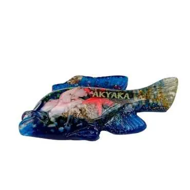 Akyaka Temalı Şeffaf Polyester Magnet - 18