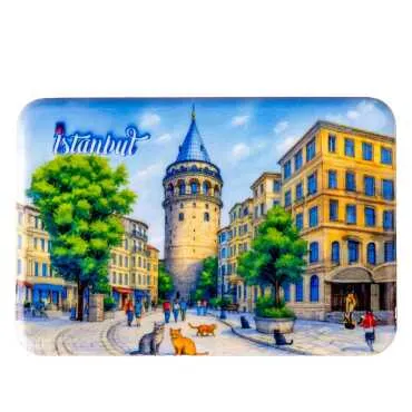 Istanbul Themed Customised UV Printed Plastic Base Rectangle Fridge Magnet 80x50 mm - 10