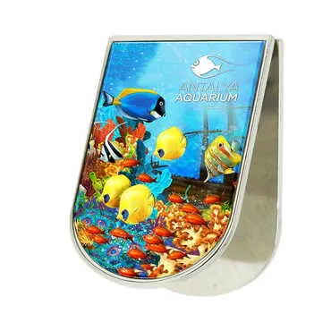 Aquapark Themed Metal Magnetic Paper Clip Holder 40x55 mm