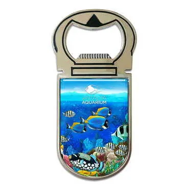 Aquapark Themed Metal Magnetic Opener 40x90 mm