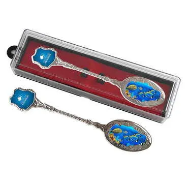 Aquapark Themed Collectible Souvenir Metal Tea Spon With Giftbox