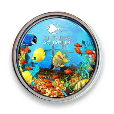 Aquapark Themed Collectible Souvenir Metal Round Pin 18 mm