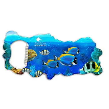 Aquapark Themed Map Shaped Metal Magnetic Bottle Opener 100x45 mm