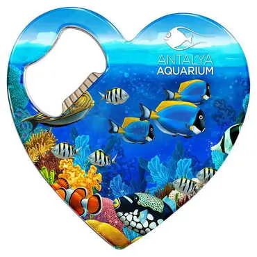 Toptan Aquapark Temalı Myros Kalp Açacak Magnet T 85*76 Mm