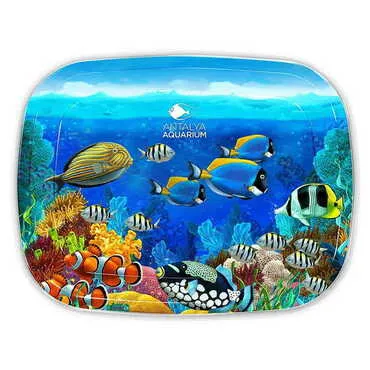 Aquapark Themed Customised Printed Tin Serving Tray 305x235 mm