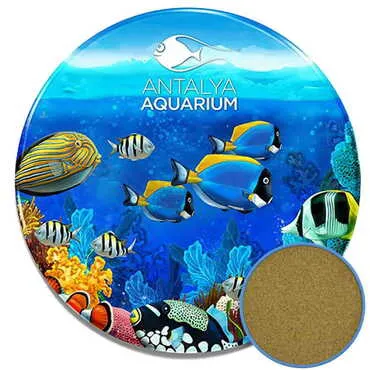 Aquapark Themed Customised Metal Tin Coaster 90 mm - Standart