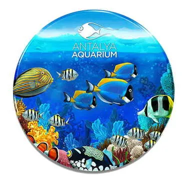 Aquapark Themed Customised Metal Tin Coaster 90 mm - Standart - 2