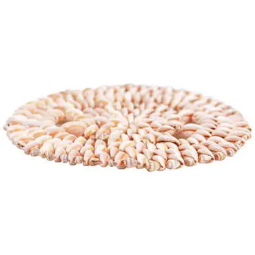 Sea Shell Coaster 200 Mm - Standart - 2