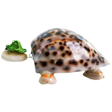 Toptan T.cowrie Turtle W/ 1 Asstd Neon Hat /moving Head