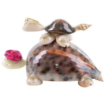 Toptan Tiger Cowrie Double Turtle -4 Asstd Color Hat