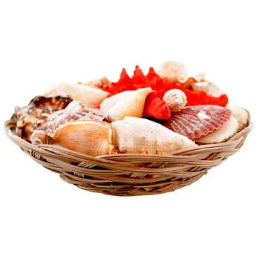 Sea Shell Cart Desktop Decor 280 Mm - Standart - 2