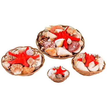 Sea Shell Cart Desktop Decor 280 Mm - Standart - 3