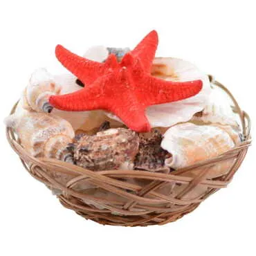 Sea Shell Cart Desktop Decor 110 Mm - MDK192248(2) - 2