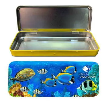 Toptan Aquapark Temalı Myros Metal Kalem Kutusu 210x80x25 mm