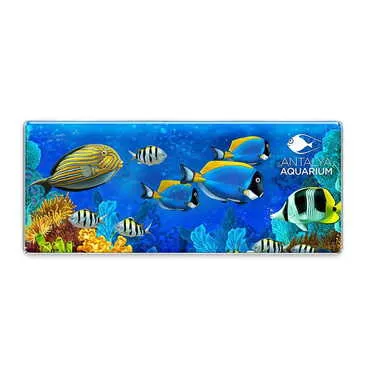 Aquapark Themed Epoxy Dome Panaromic Souvenir Fridge Magnet 120x50 cm